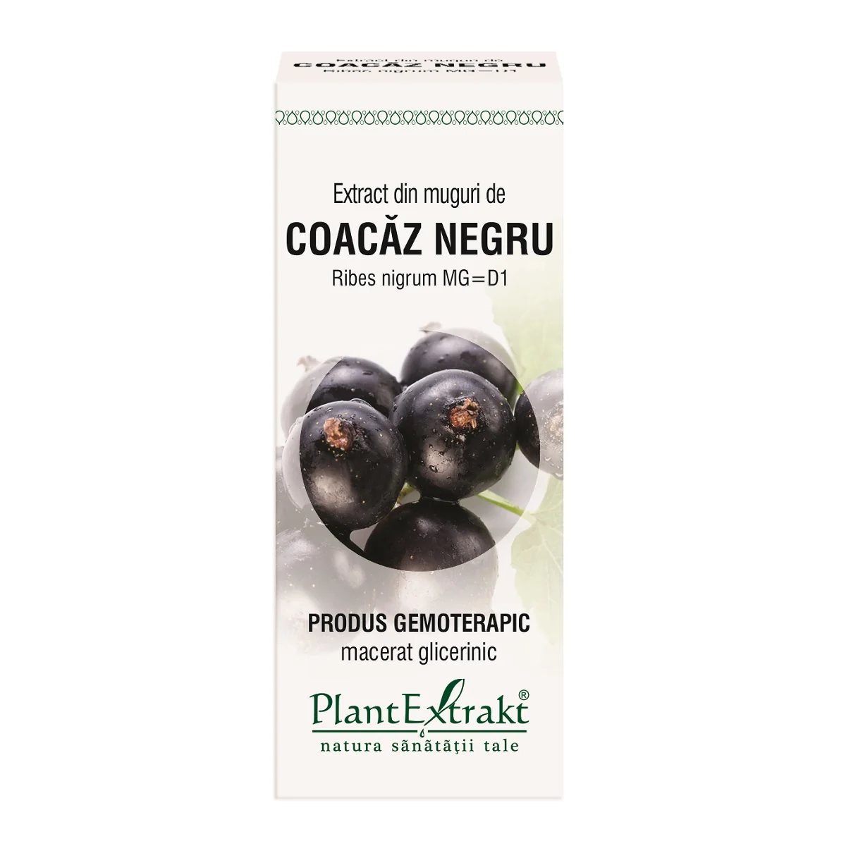Extract Din Muguri De Coacaz Negru, 50ml, PlantExtrakt