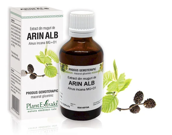 Extract Din Muguri De Arin Alb, 50ml, Planetextrakt