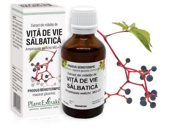 Extract Din Mladite De Vita De Vie Salbatica, 50ml, PlantExtrakt