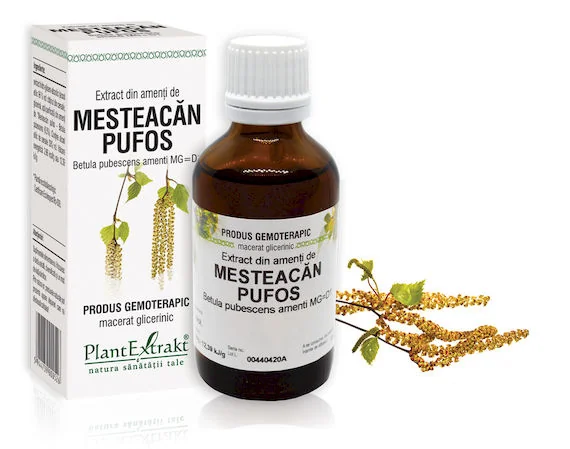 Extract Din Amenti De Mesteacan Pufos, 50ml, PlantExtrakt