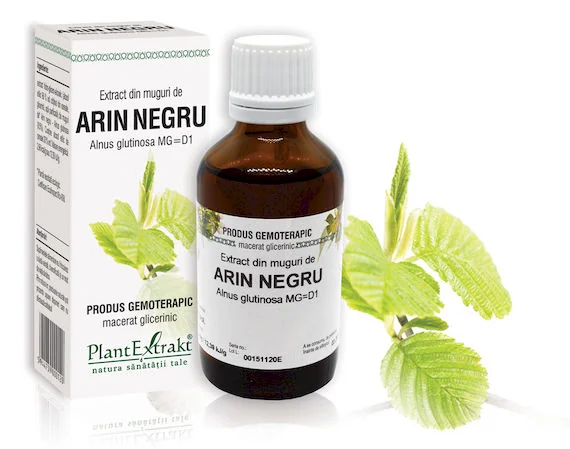 Extract Din Muguri De Arin Negru, 50ML, PlantExtrakt