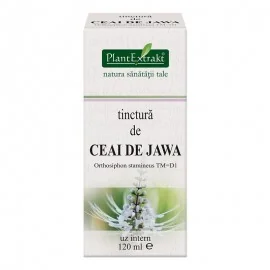 Tinctura Ceai Jawa, 120ml, PlantExtrakt