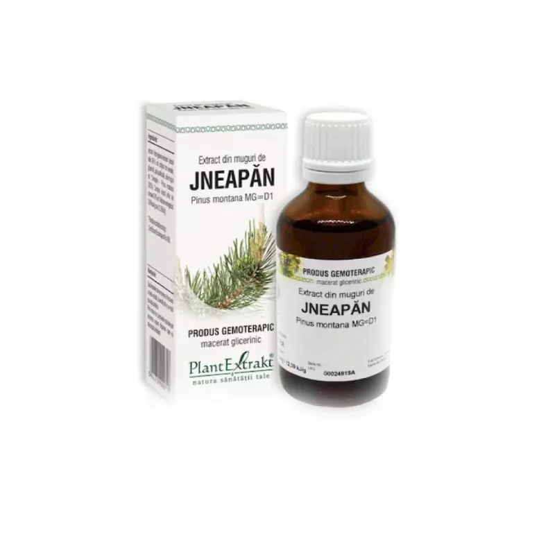 Extract Din Muguri De Jneapan, 50ml, PlantExtrakt