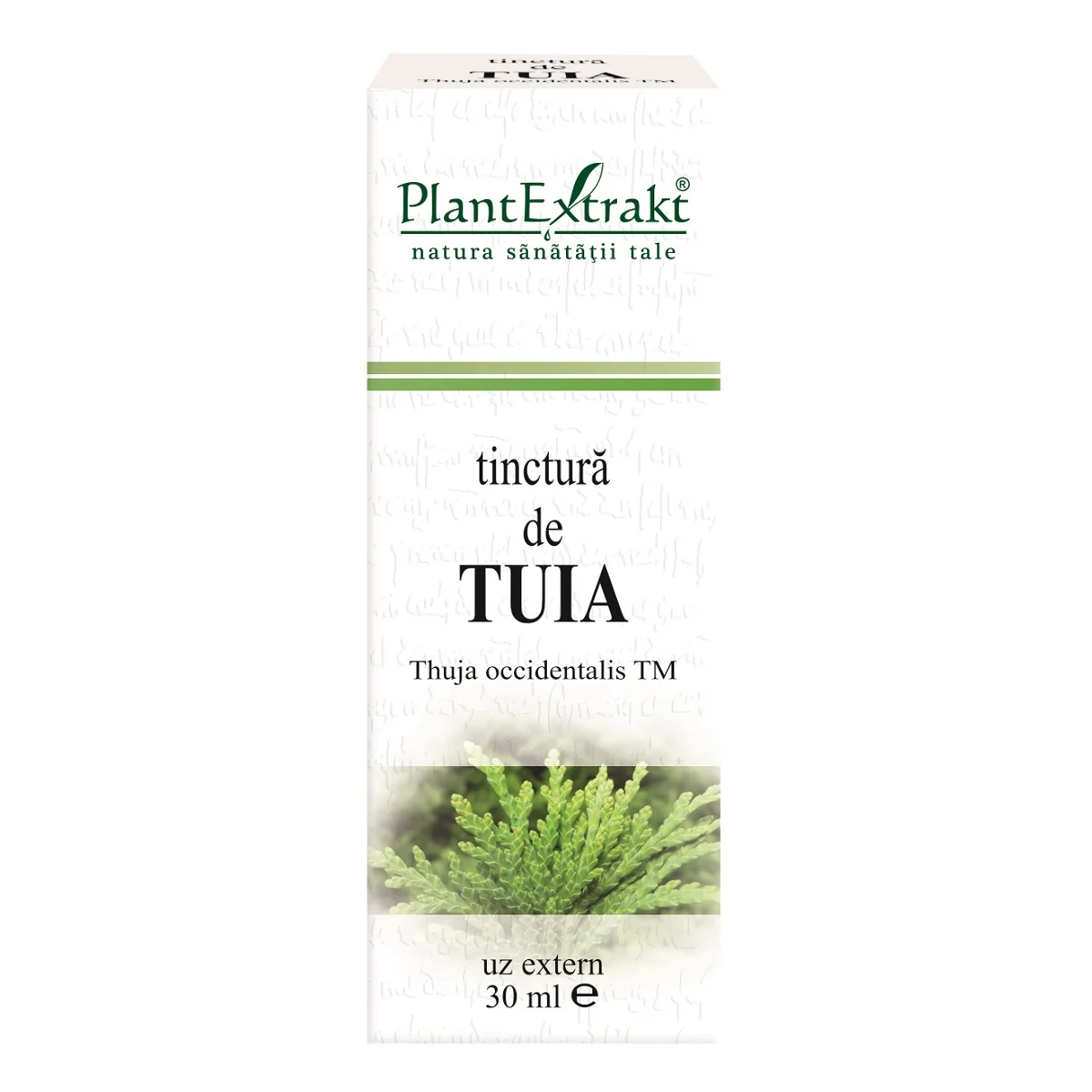 Tinctura De Tuia, 30ml, PlantExtrakt