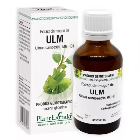 Extract Din Muguri De Ulm, 50 ml, PlantExtrakt