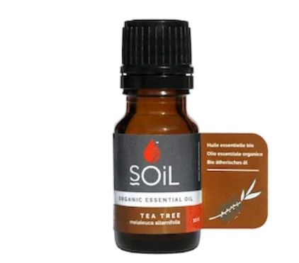 Ulei Esential De Arbore De Ceai (Melaleuca Alternifolia) 100% Organic, 10ml, Soil