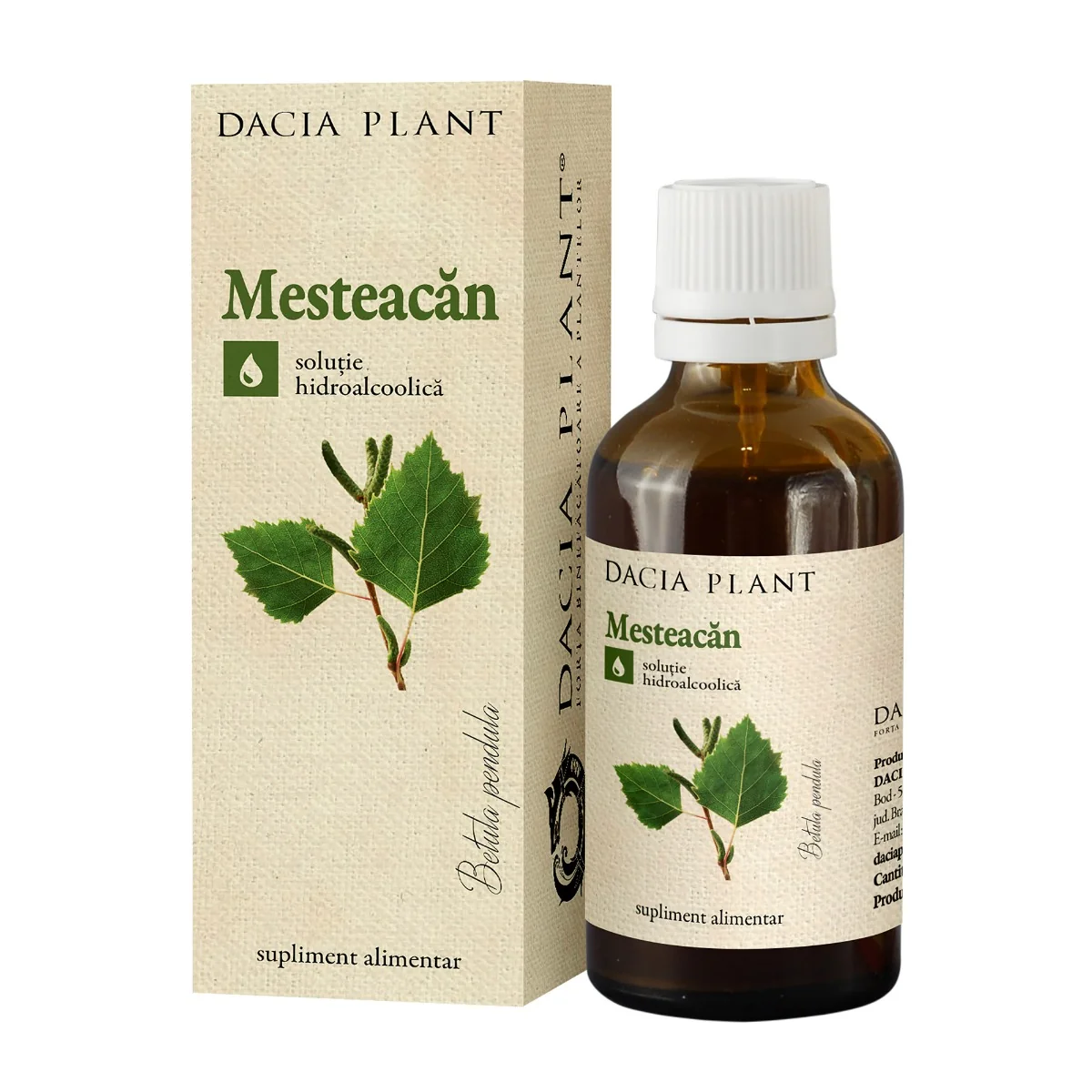 Tinctura De Mesteacan, 50 ml, Dacia Plant