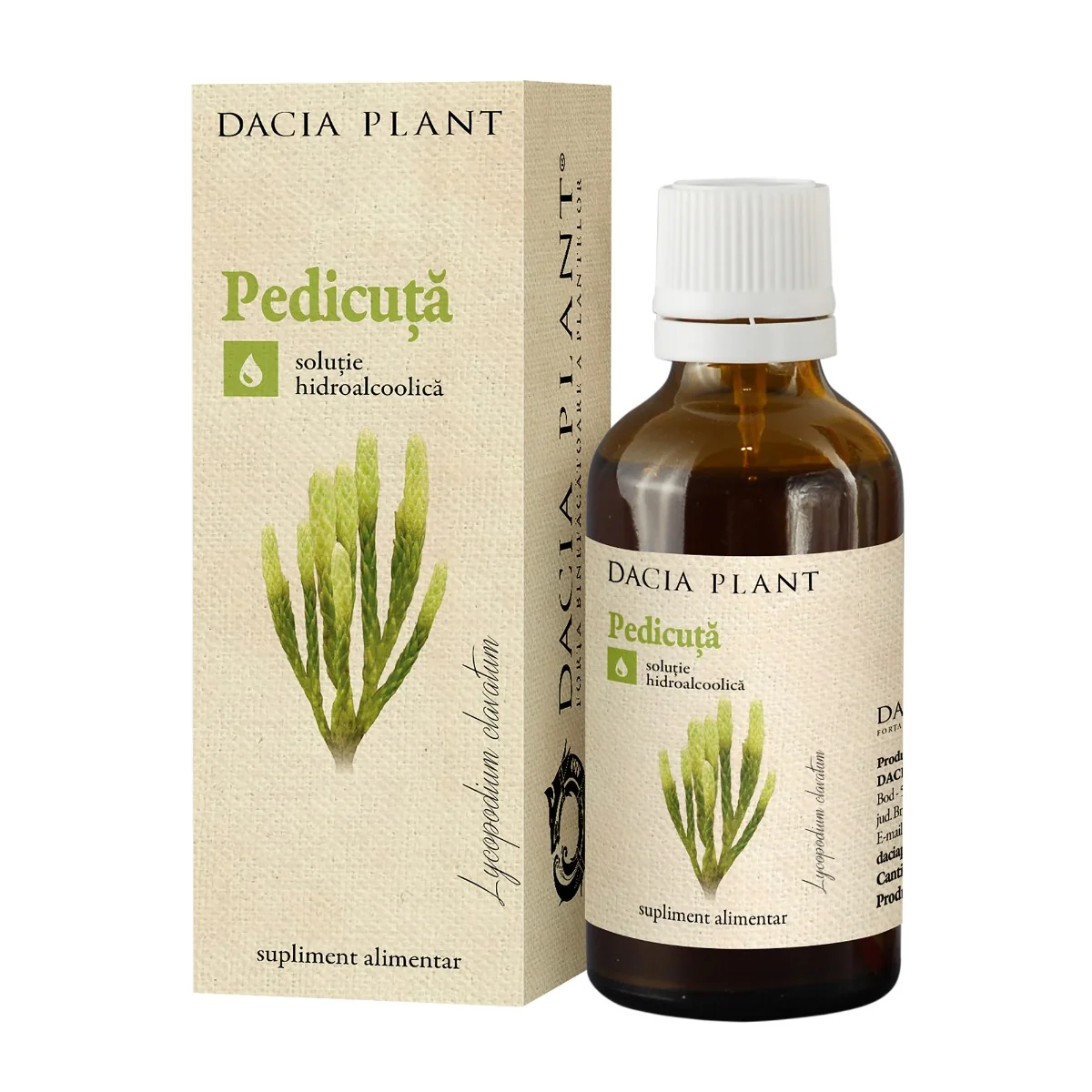 Tinctura De Pedicuta, 50ml, Dacia Plant