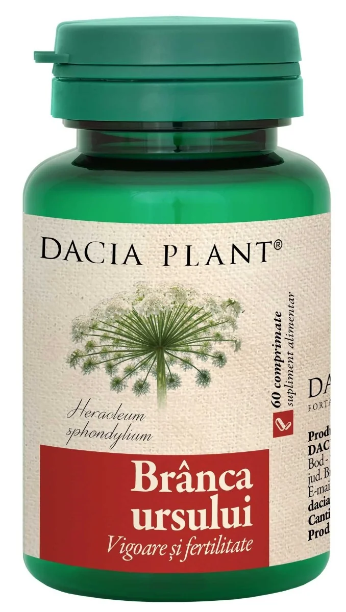 Branca Ursului, 60 Comprimate, Dacia Plant