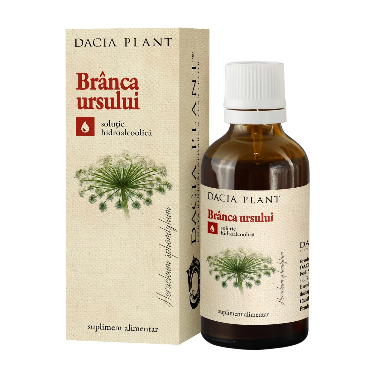 Tinctura De Branca Ursului, 50ml, Dacia Plant