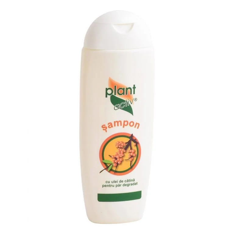 Sampon Cu Ulei De Catina, 200ml, Plant Activ