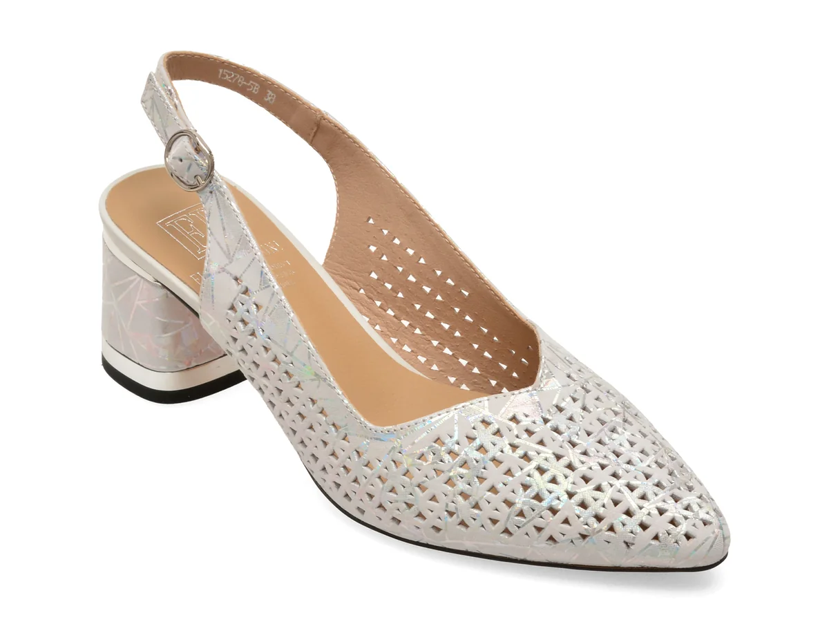 Pantofi eleganti FLAVIA PASSINI gri, 15278, din piele naturala