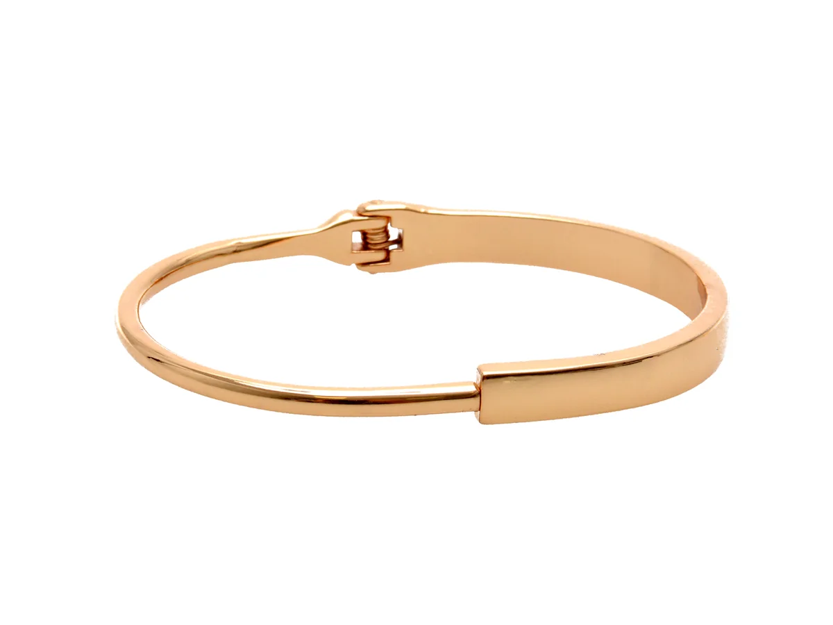 Bratara Aldo Aurie Bauciola 710 Din Metal