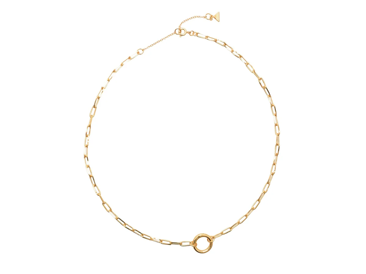 Colier Aldo Auriu, Daphneyy 710, Din Metal