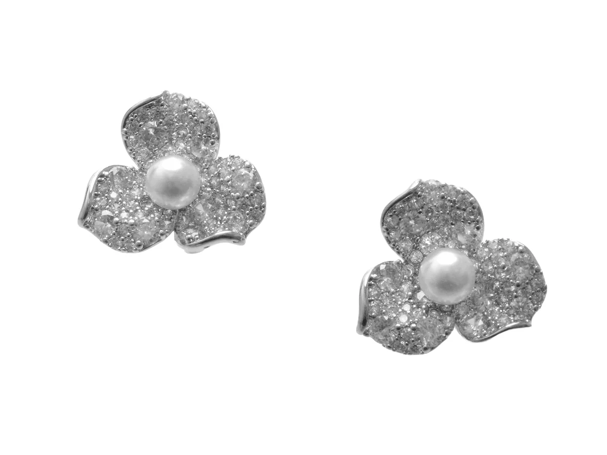 Cercei Aldo Argintii, Charpin 973, Din Metal