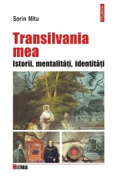Ebook Transilvania Mea. Istorii, Metalități, Identități - Sorin Mitu