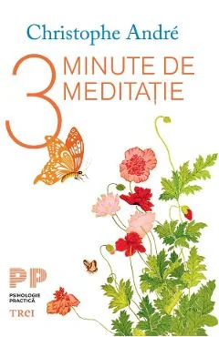 Ebook 3 Minute De Meditatie - Christophe Andre
