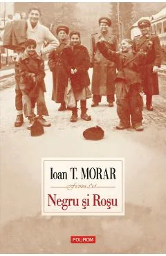 Ebook Negru Și Roșu - Ioan T. Morar