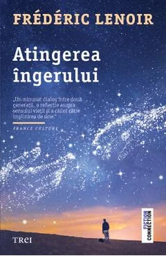 Ebook Atingerea Ingerului - Frederic Lenoir