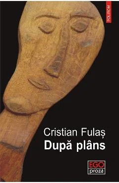 Ebook Dupa Plans - Cristian Fulas