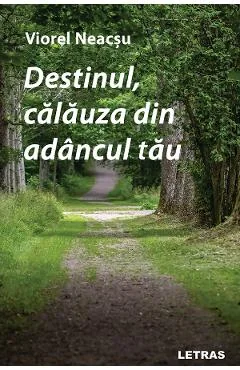 Ebook Destinul, Calauza Din Adancul Tau - Viorel Neacsu