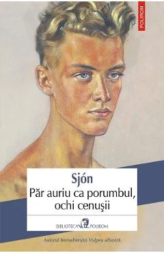 Ebook Par Auriu Ca Porumbul, Ochi Cenusii - Sjon