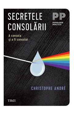 Ebook Secretele Consolării. A Consola Și A Fi Consolat - Christophe André
