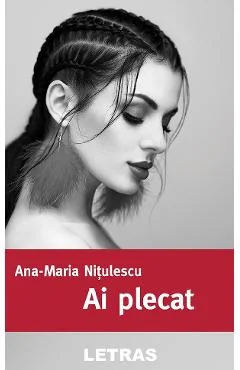 Ebook Ai Plecat - Ana-Maria Nitulescu