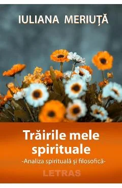 Ebook Trairile Mele SpiritualE. Analiza Spirituala Si Filosofica - Iuliana Meriuta