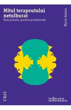 Ebook Mitul Terapeutului Netulburat. Viata Privata, Practica Profesionala