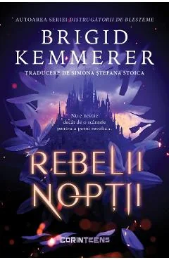 EBook Rebelii Nopții. Seria Rebelii Nopții Vol. 1 - Brigid Kemmerer