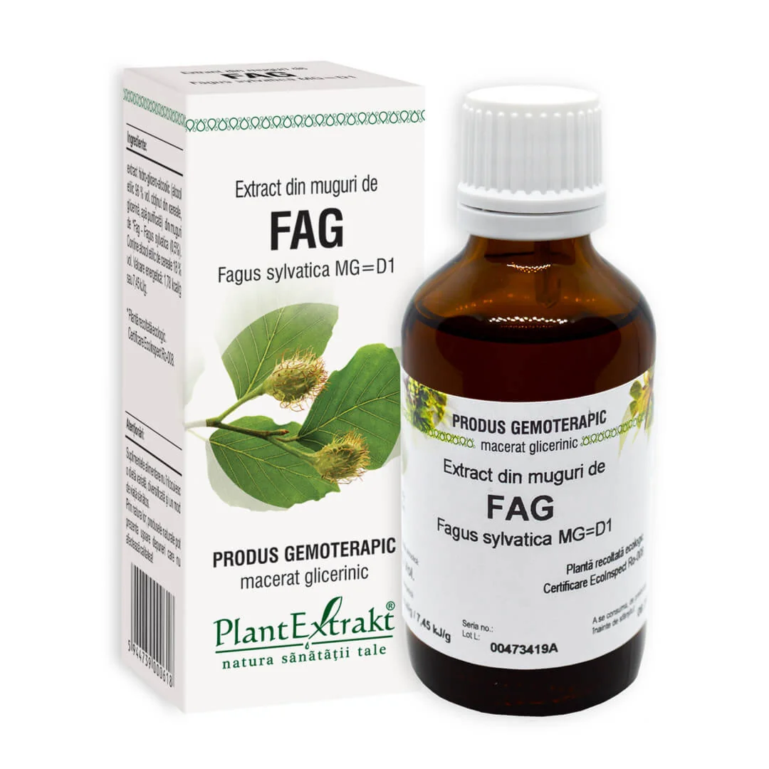 Extract Din Muguri De Fag, 50 Ml, Plant Extrakt