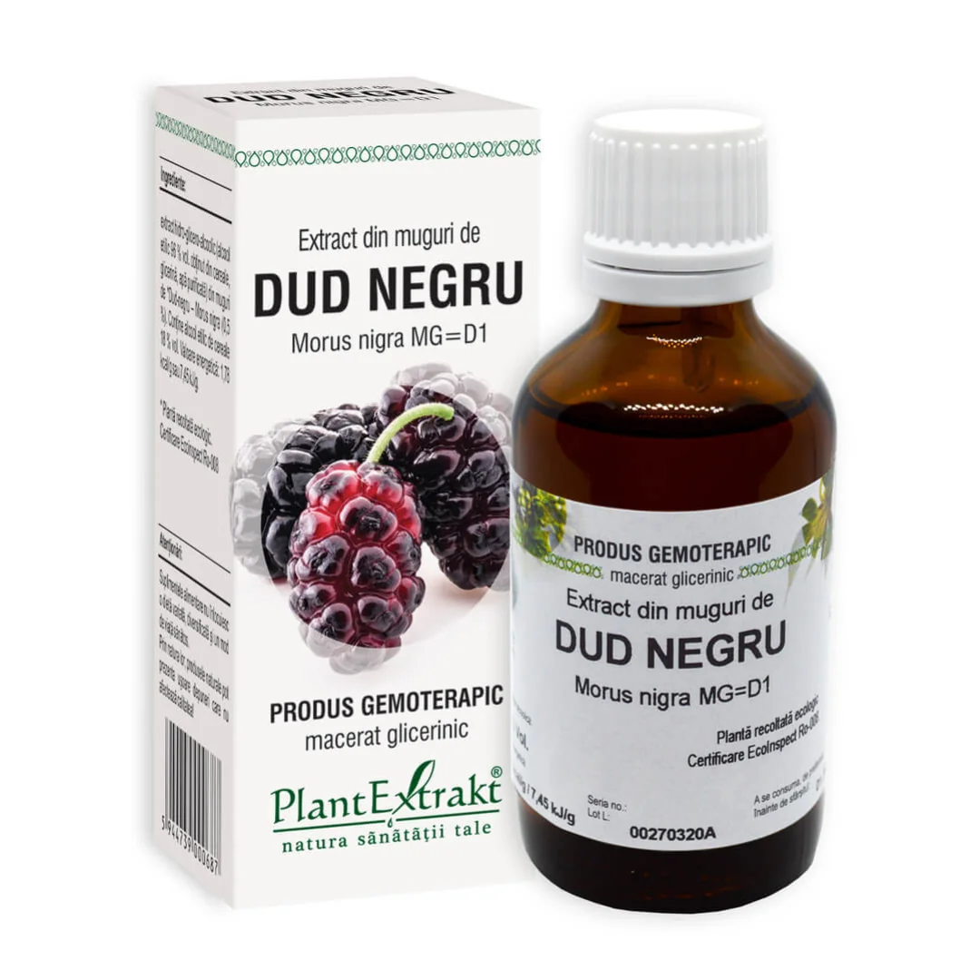 Extract Din Muguri De Dud Negru, 50 Ml, Plant Extrakt