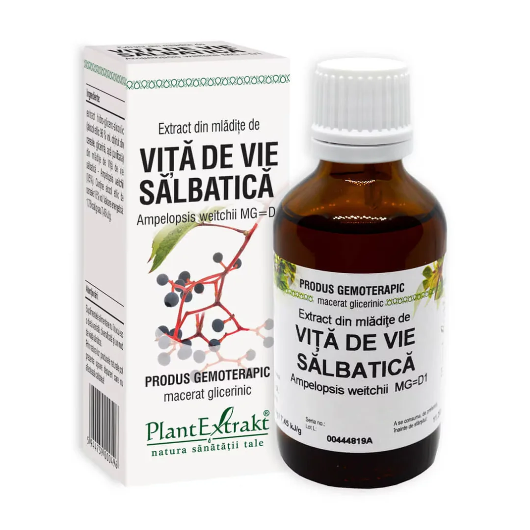 Extract Din Mladite De Vita De Vie Salbatica, 50 Ml, Plant Extrakt