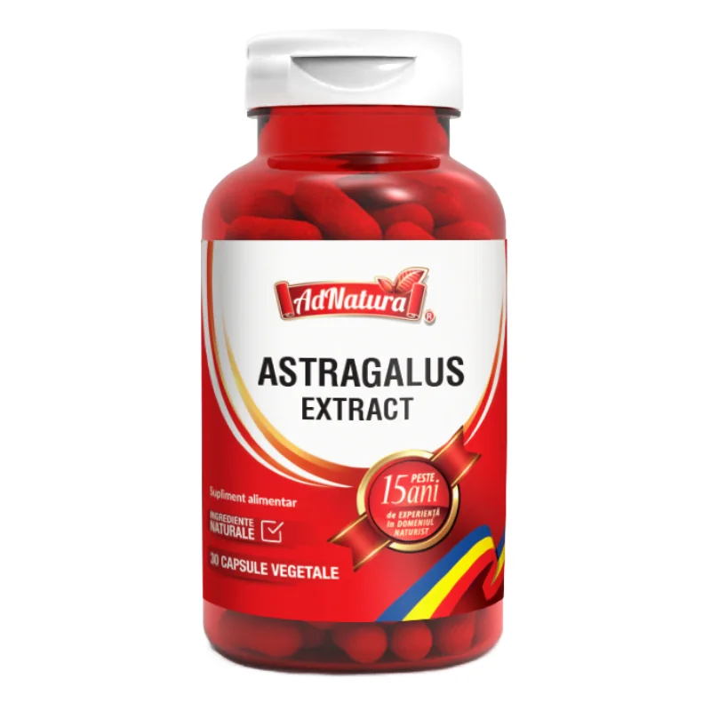 Astragalus Extract, 60 Capsule, AdNatura