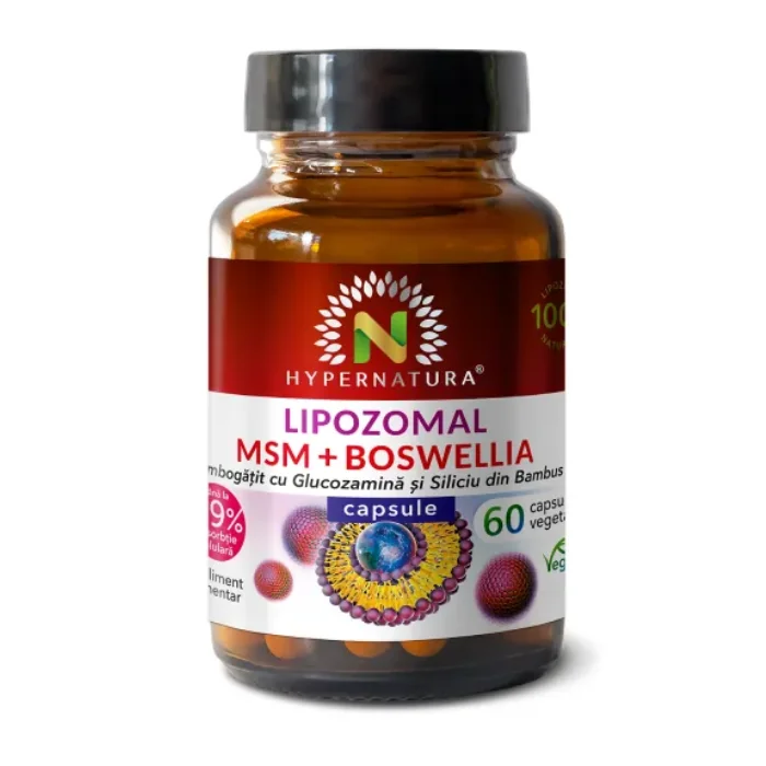Lipozomal Msm + Boswellia, 60 Capsule, Hypernatura