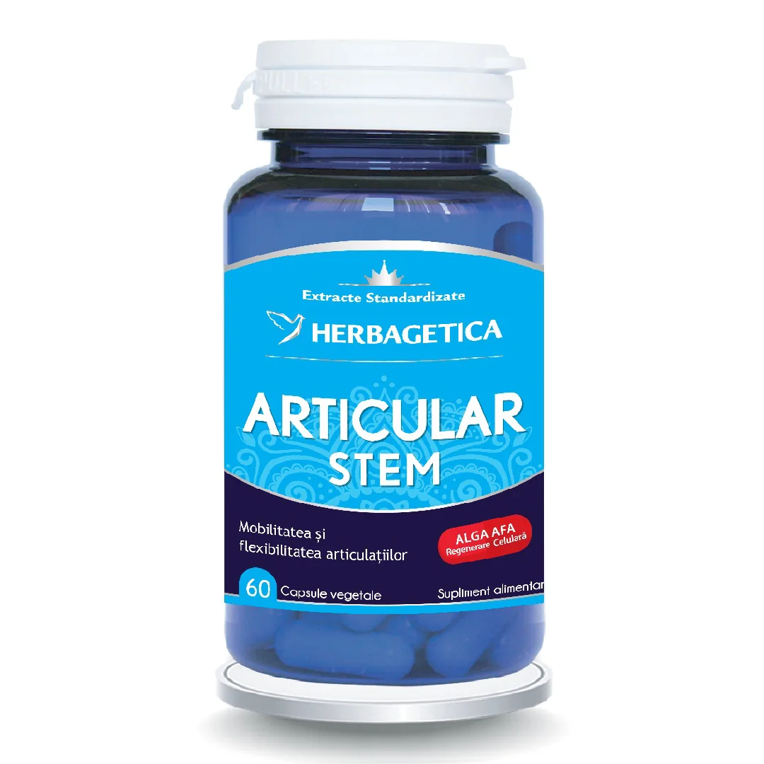 Articular Stem, 60 Capsule, Herbagetica