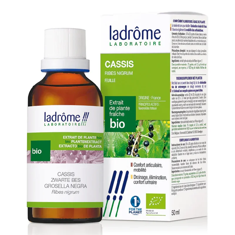 Tinctura Bio De Coacaz Negru, 50Ml, Ladrome Laboratoire