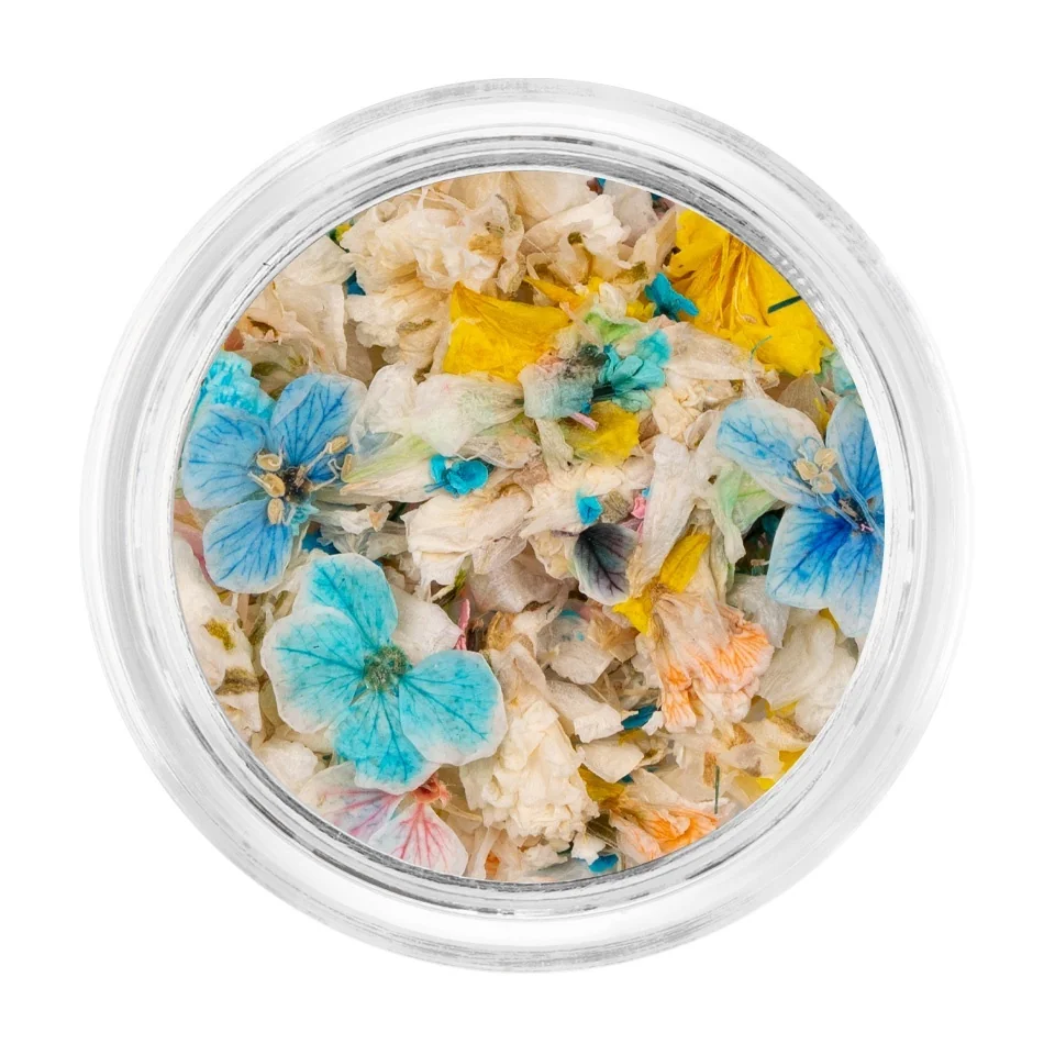 Flori Uscate Unghii LUXORISE - Pastel Vibe
