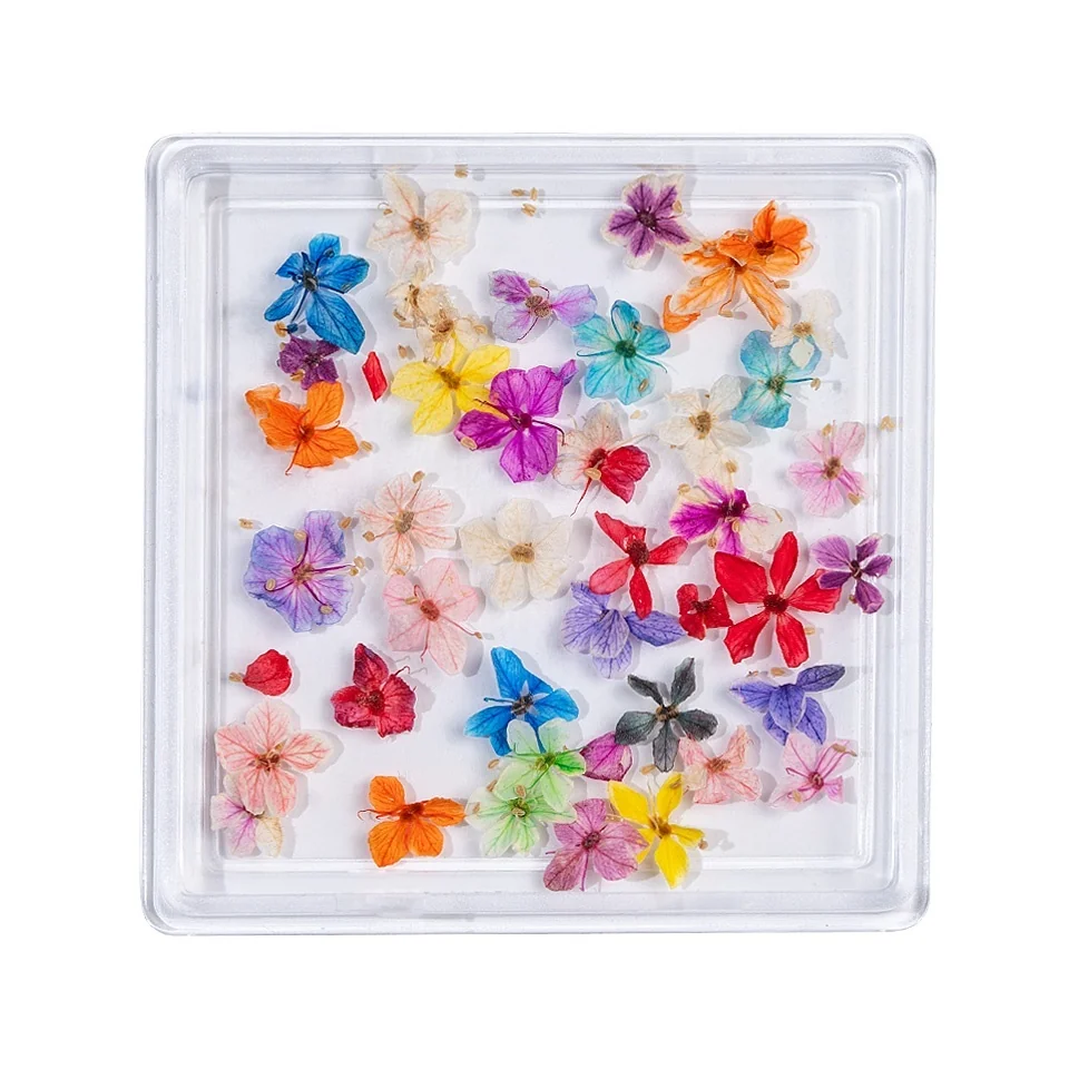 Flori Uscate Unghii LUXORISE - Rainbow Flowers