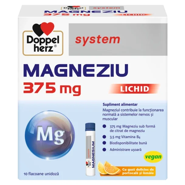 Doppelherz Magnesium 375 liquid 30 fl. Queisser Pharma