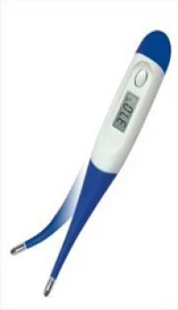 Pansiprod Narcis Termometru digital cu varf flexibil