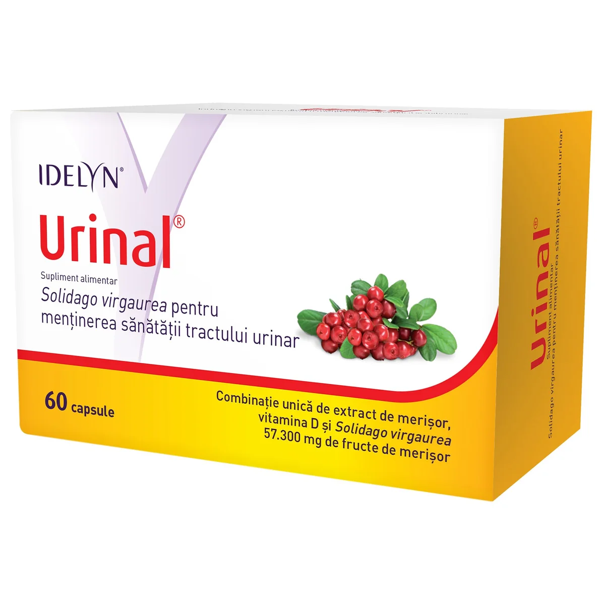 Urinal 60 capsule