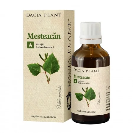 Tinctura de Mesteacan solutie hidroalcoolica 50 ml