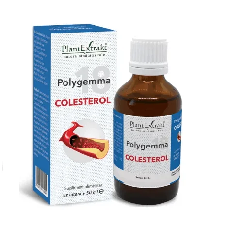 Polygemma 18 Colesterol 50 ml
