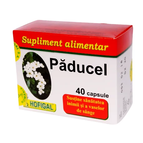 Paducel 40 capsule