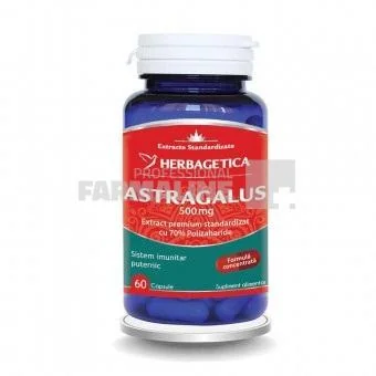 Astragalus 500 mg  60 capsule