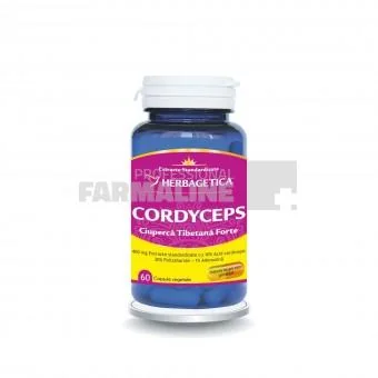 Cordyceps 10/30/1 Ciuperca Tibetana Forte 60 capsule