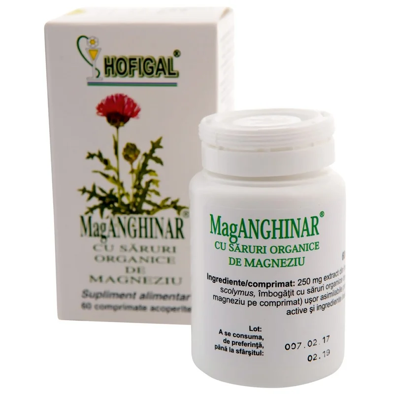 Mag Anghinar 60 comprimate