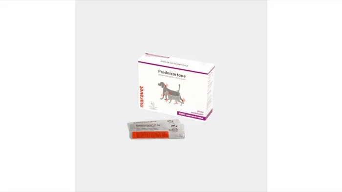 Prednicortone 20 mg, 250 tablete